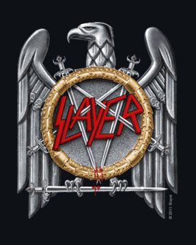Slayer metal kleding voor kids Silver Eagle